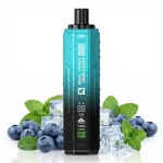 ویپ یکبارمصرف SPACE TUBE طعم بلوبری نعنا